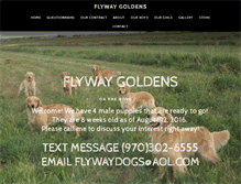 Tablet Screenshot of flywaygoldens.com